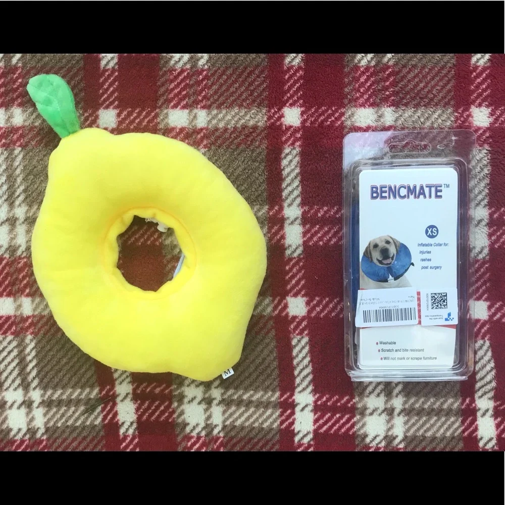 Cat/Small Dog Protective Cone Collars